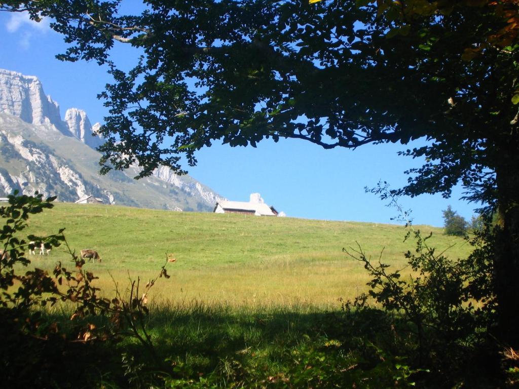 Zimmer & Z'Morgae Schoenenboden Wildhaus Kültér fotó